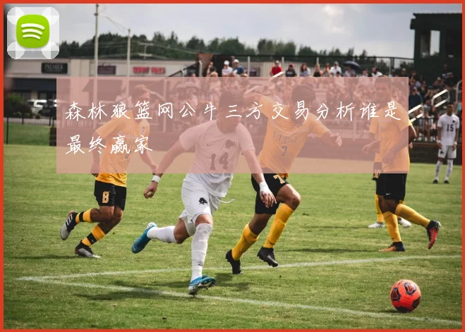 森林狼篮网公牛三方交易分析谁是最终赢家