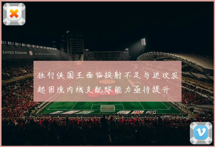 独行侠国王面临投射不足与进攻发起困境内线支配球能力亟待提升