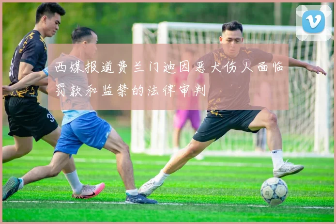 西媒报道费兰门迪因恶犬伤人面临罚款和监禁的法律审判